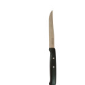 HI1359 Нож-пилка Kaimano 21,5*1,5см, ручка пластик (1000шт в ящ)